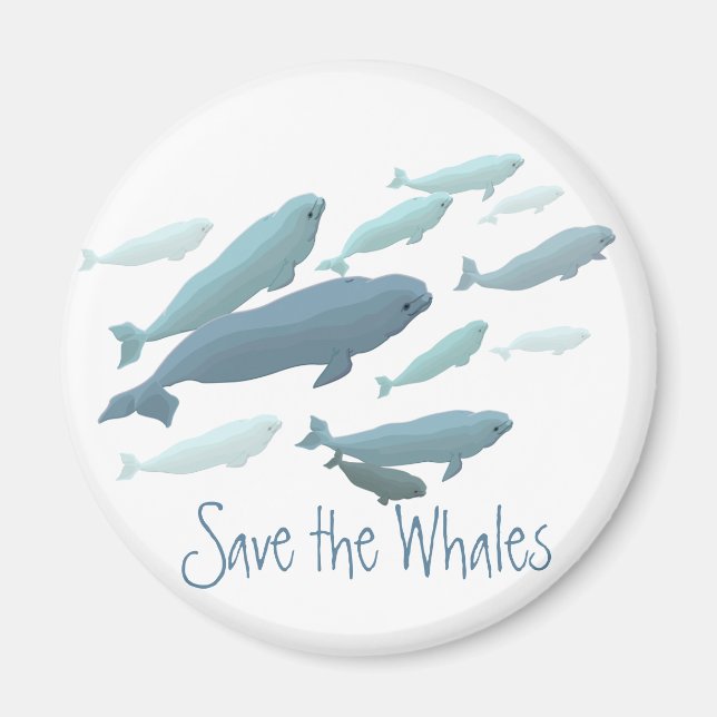 Beluga Fridge Magnet Anpassningsbar Beluga Whale M (Framsidan)