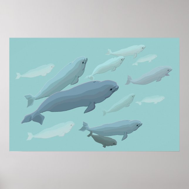 Beluga Whale Art Print Marinelife Whale Poster (Framsidan)