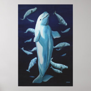 Beluga Whale Art Skriv ut marinelife Whale Paintin Poster