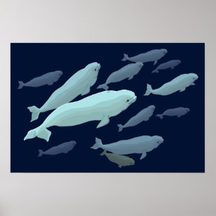 Beluga Whale Art Skriv ut marinelife Whale Paintin Poster