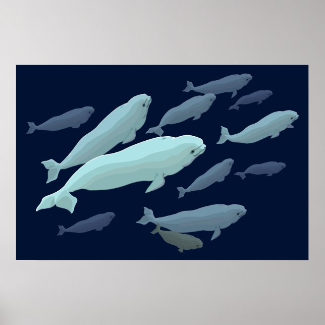 Beluga Whale Art Skriv ut marinelife Whale Paintin Poster (Framsidan)