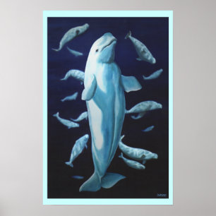 Beluga Whale Art Skriv ut marinelife Whale Paintin Poster