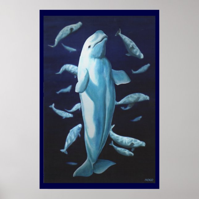 Beluga Whale Art Skriv ut marinelife Whale Paintin Poster (Framsidan)