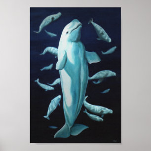 Beluga Whale Art Skriv ut marinelife Whale Paintin Poster