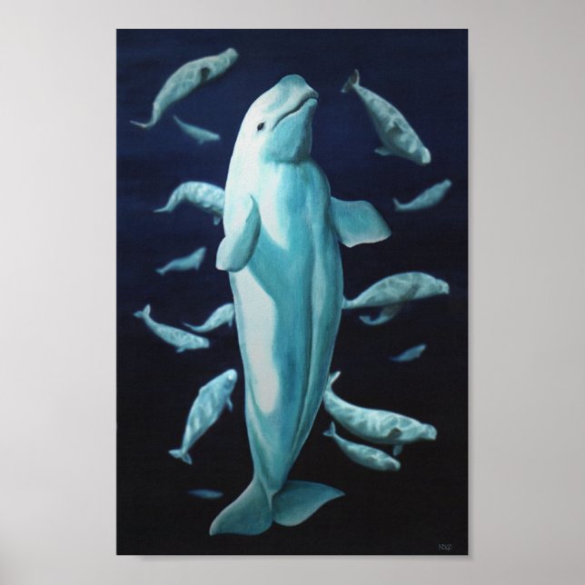 Beluga Whale Art Skriv ut marinelife Whale Paintin Poster (Framsidan)