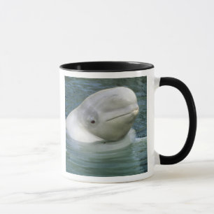 Beluga Whale, Delphinapterus leucas) Mugg