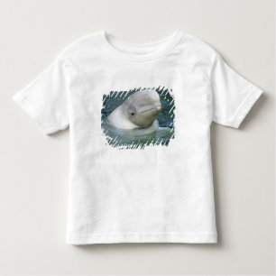 Beluga Whale, Delphinapterus leucas) Tee Shirt