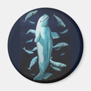 Beluga Whale Fridge Magnet Whale Art Gifts