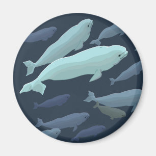 Beluga Whale Fridge Magnet Whale Art Gifts