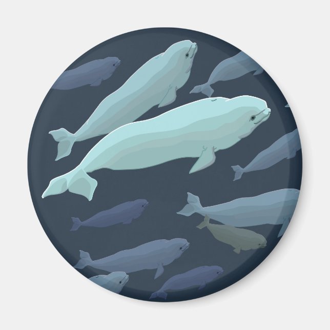Beluga Whale Fridge Magnet Whale Art Gifts (Framsidan)