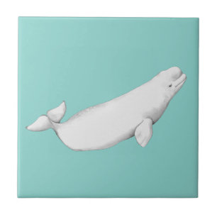 Beluga Whale Illustration Whale Älskare Gift Blue Kakelplatta