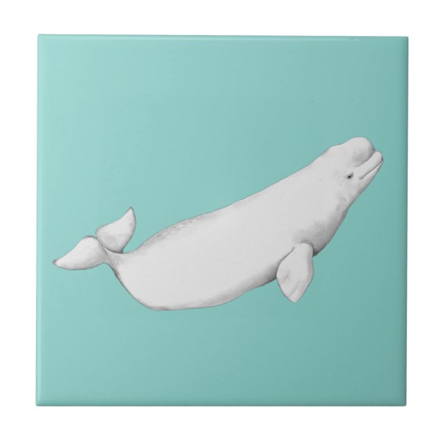 Beluga Whale Illustration Whale Älskare Gift Blue Kakelplatta (Framsidan)