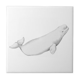 Beluga Whale Illustration Whale Älskare Gift White Kakelplatta