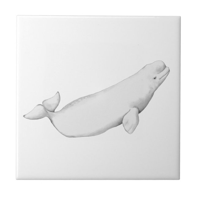 Beluga Whale Illustration Whale Älskare Gift White Kakelplatta (Framsidan)