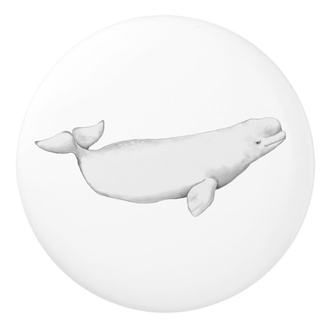 Beluga Whale Illustration Whale Älskare Gift White Knopp (Framsidan)