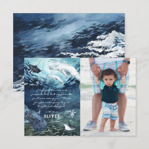 Beluga Whale Ocean   Foto-Tack Tack Kort