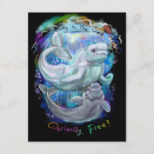 Beluga Whales Vykort