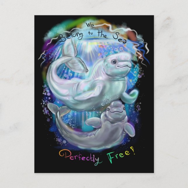 Beluga Whales Vykort (Framsida)