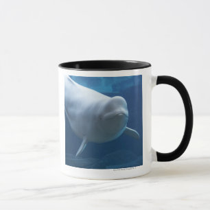 Belugaval (Delphinapterusleucas) Mugg