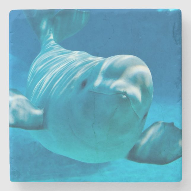 Belugaval Underlägg Sten (Framsidan)