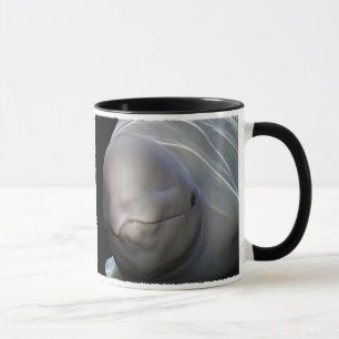 Belugavalmugg Mugg