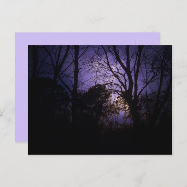 Belysning på vykortet träd vykort (Fram/baksida)