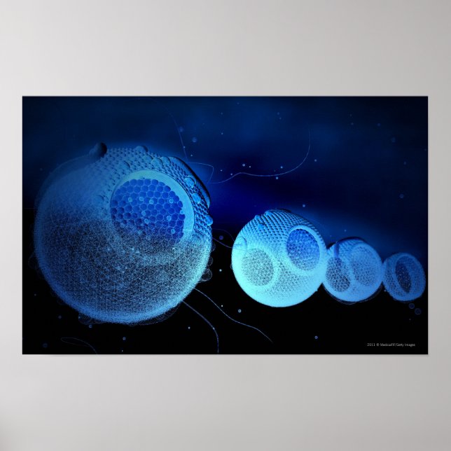 Belysningsillustration av HDL Poster (Framsidan)