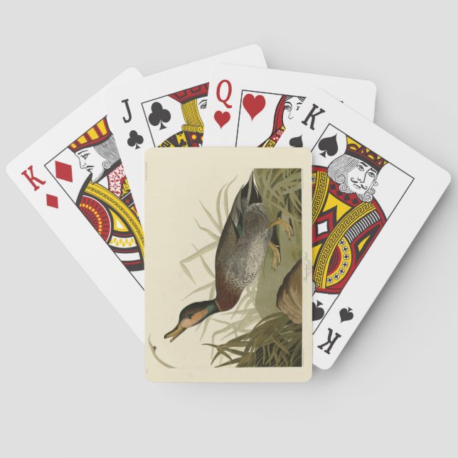 Bemaculated (Brewer's) Anka, Audubon Birds America Casinokort (Baksidan)