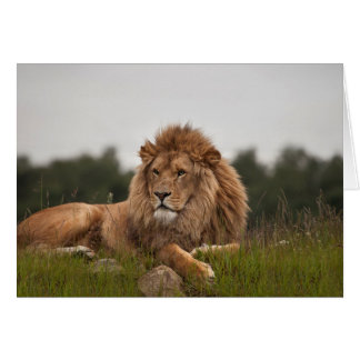 Bemanna vart dess en lång dag hälsningskort