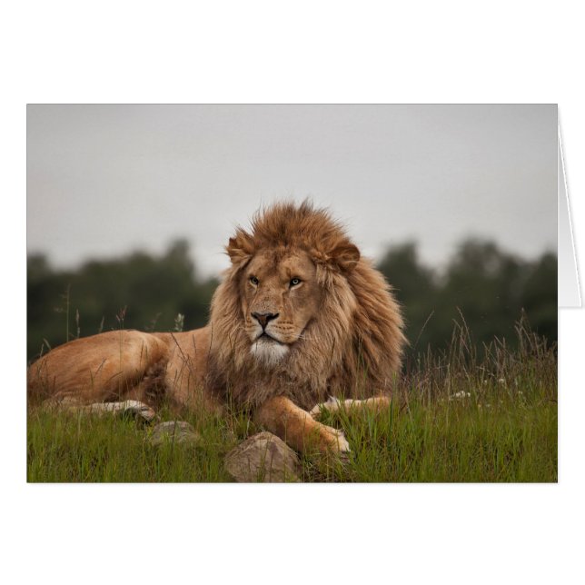 Bemanna vart dess en lång dag hälsningskort (Framsidan Horizontal)