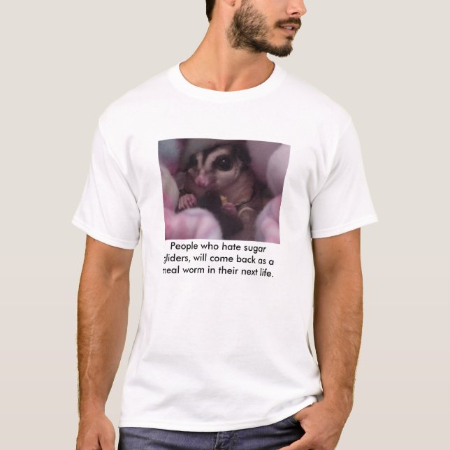 Bemanna vem hatsockerglidflygplan, ska… tee shirt (Framsida)