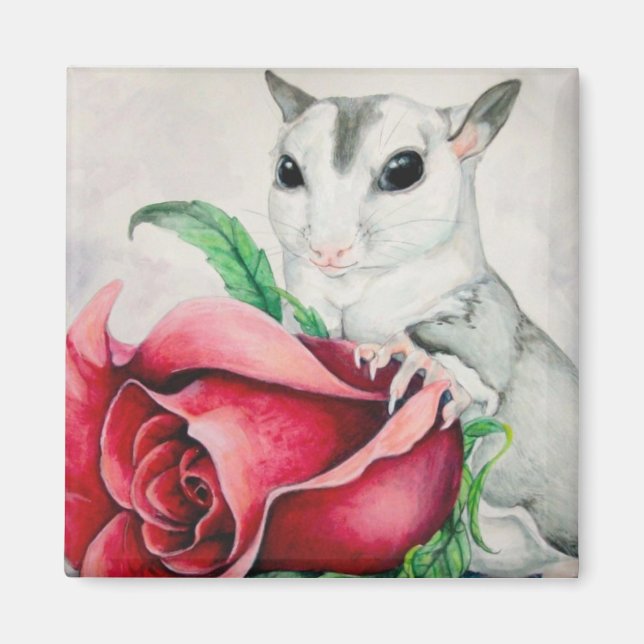 bemin magnet (Framsidan)