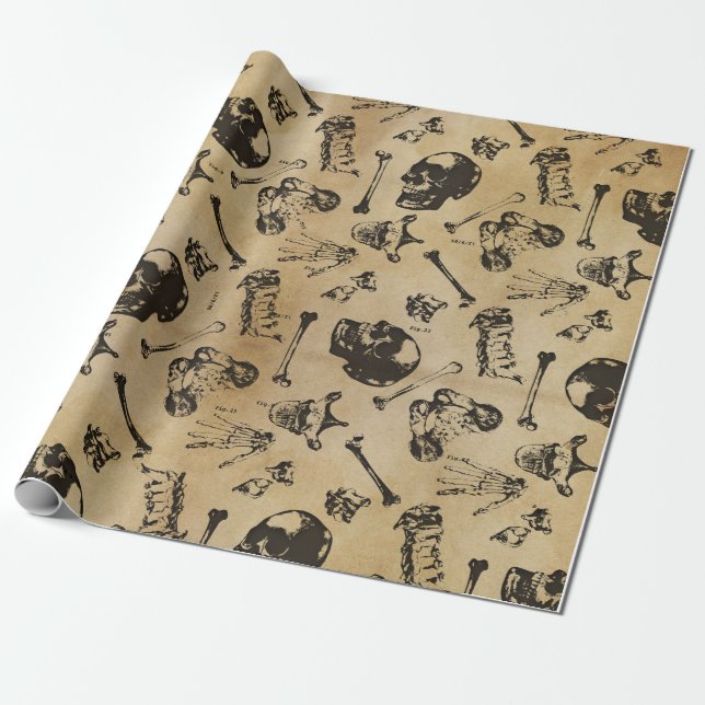 Ben Anatomy Medical Gift Wrap Presentpapper (Utrullad)