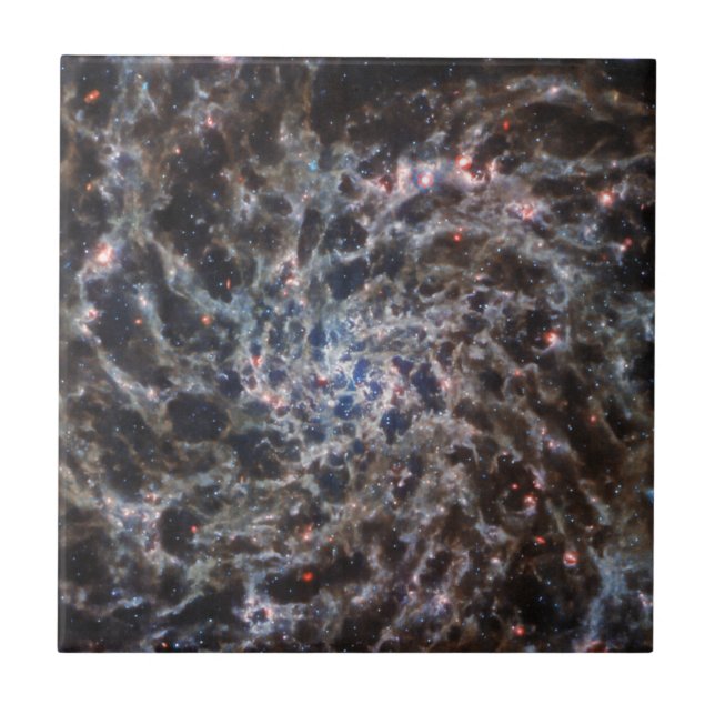 Ben av Galaxy IC5332 från JWST Kakelplatta (Framsidan)