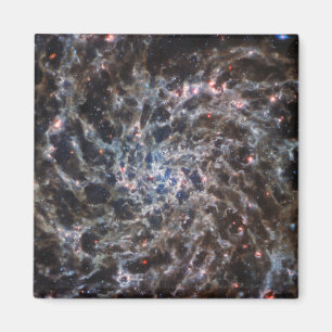 Ben av Galaxy IC5332 från JWST Magnet