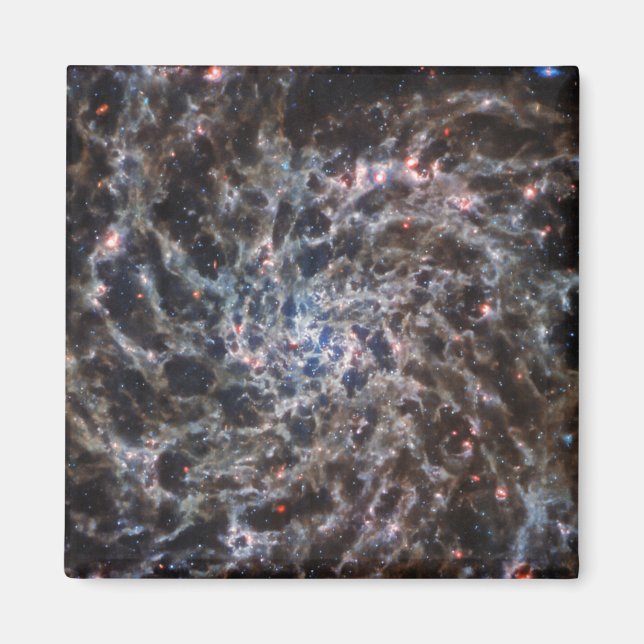 Ben av Galaxy IC5332 från JWST Magnet (Framsidan)