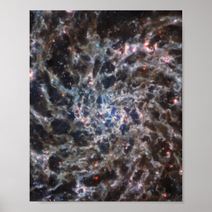 Ben av Galaxy IC5332 från JWST Poster