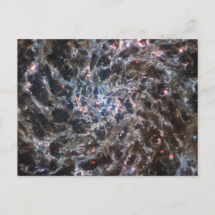 Ben av Galaxy IC5332 från JWST Vykort