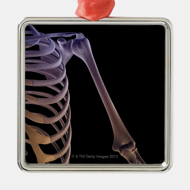 Ben av knuffa julgransprydnad metall (Framsidan)