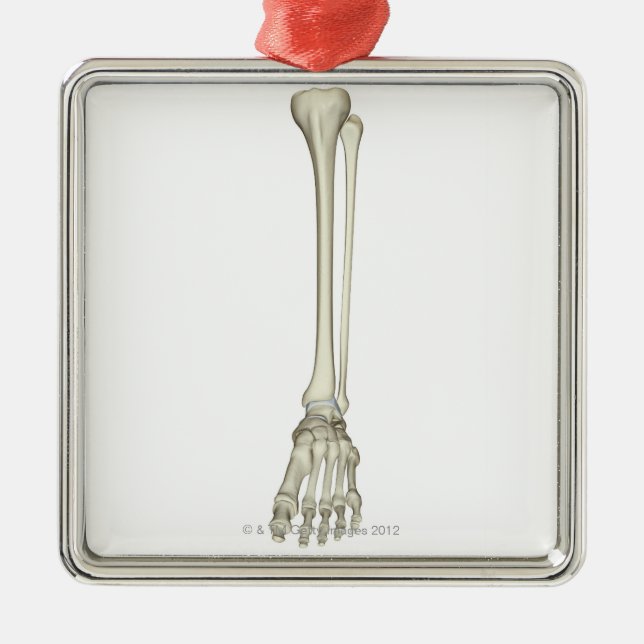 Ben av lägga benen på ryggen julgransprydnad metall (Framsidan)