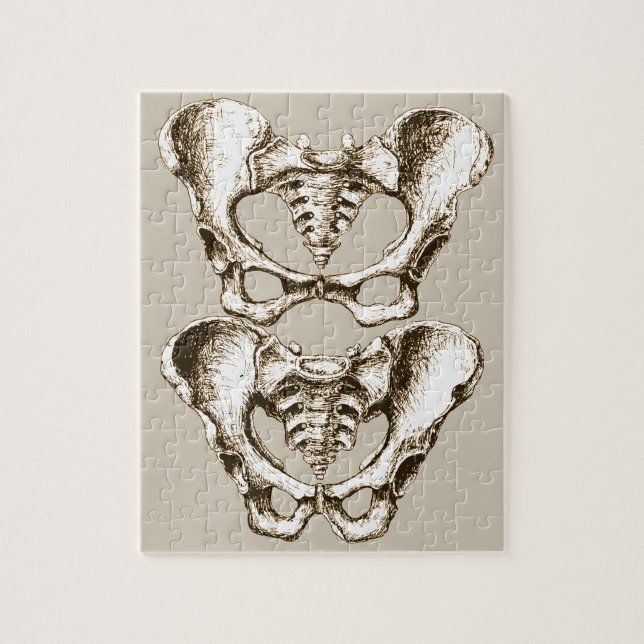 Ben av människabäckenet pussel (Vertikal)