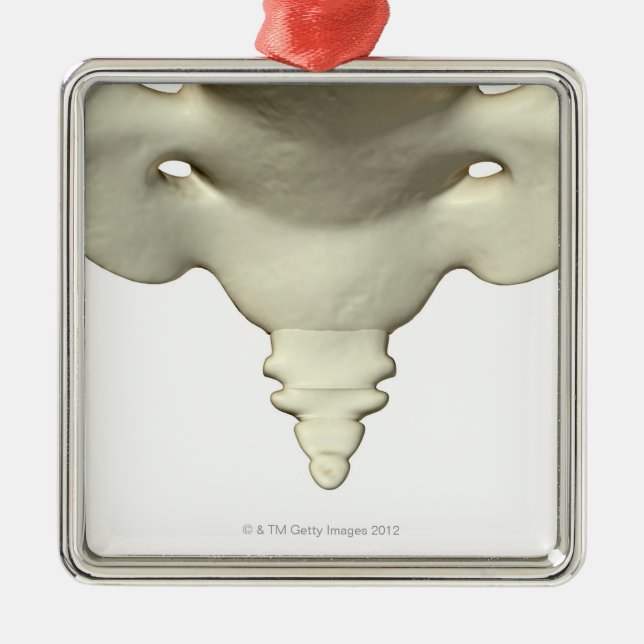 Ben av svanben julgransprydnad metall (Framsidan)