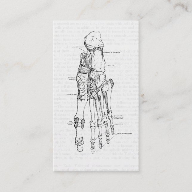 Ben för vintageanatomikonst av foten visitkort (Framsida)