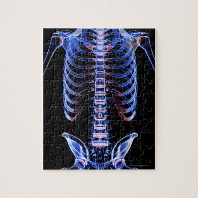 Ben i segment 2 pussel (Vertikal)