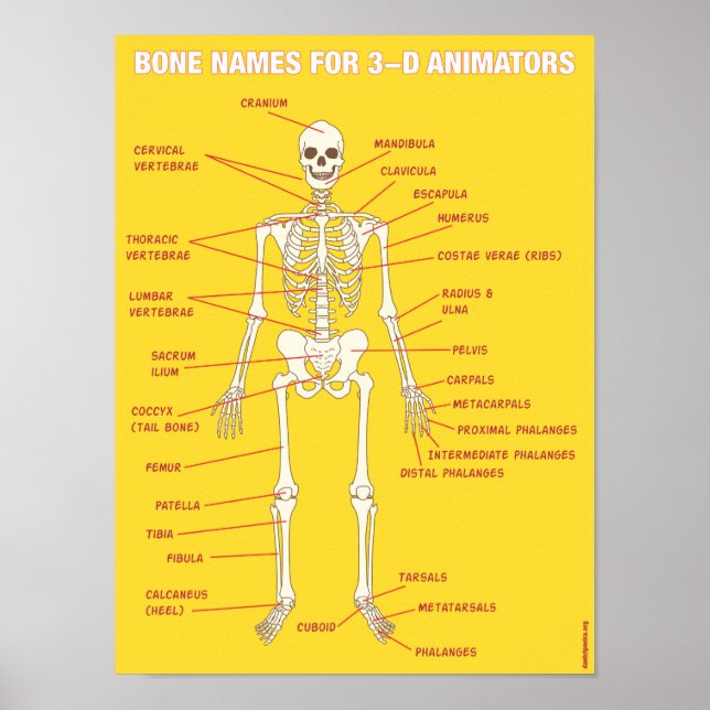 Ben Namn för 3D-animatorer Poster (Framsidan)