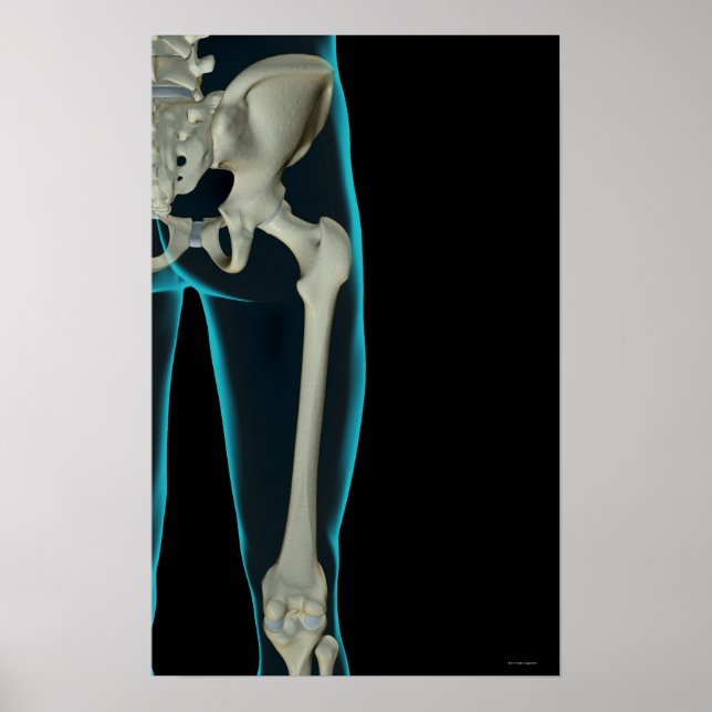 Ben till höften 2 poster (Framsidan)