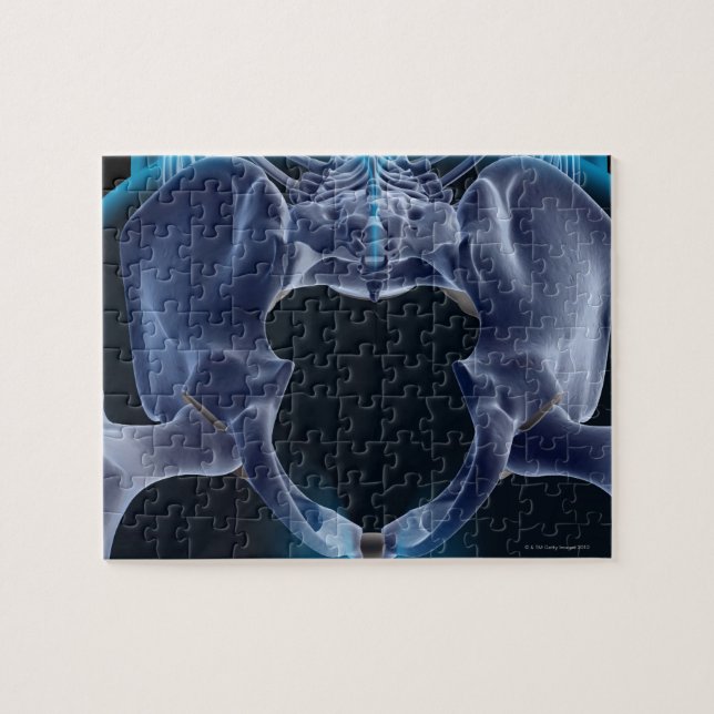 Ben till Pelvis Pussel (Horisontell)