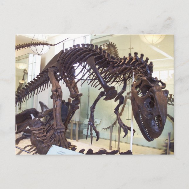 Ben Vykort (Framsida)