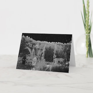 "BENAR UR KYRKOGÅRDEN" ORIGINAL- FOTOGRAFI & KORT