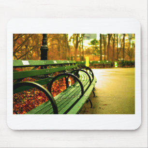 Bench i Central Park, New York City Musmatta